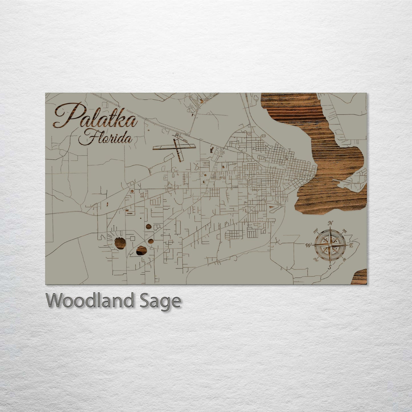 Palatka, Florida Street Map