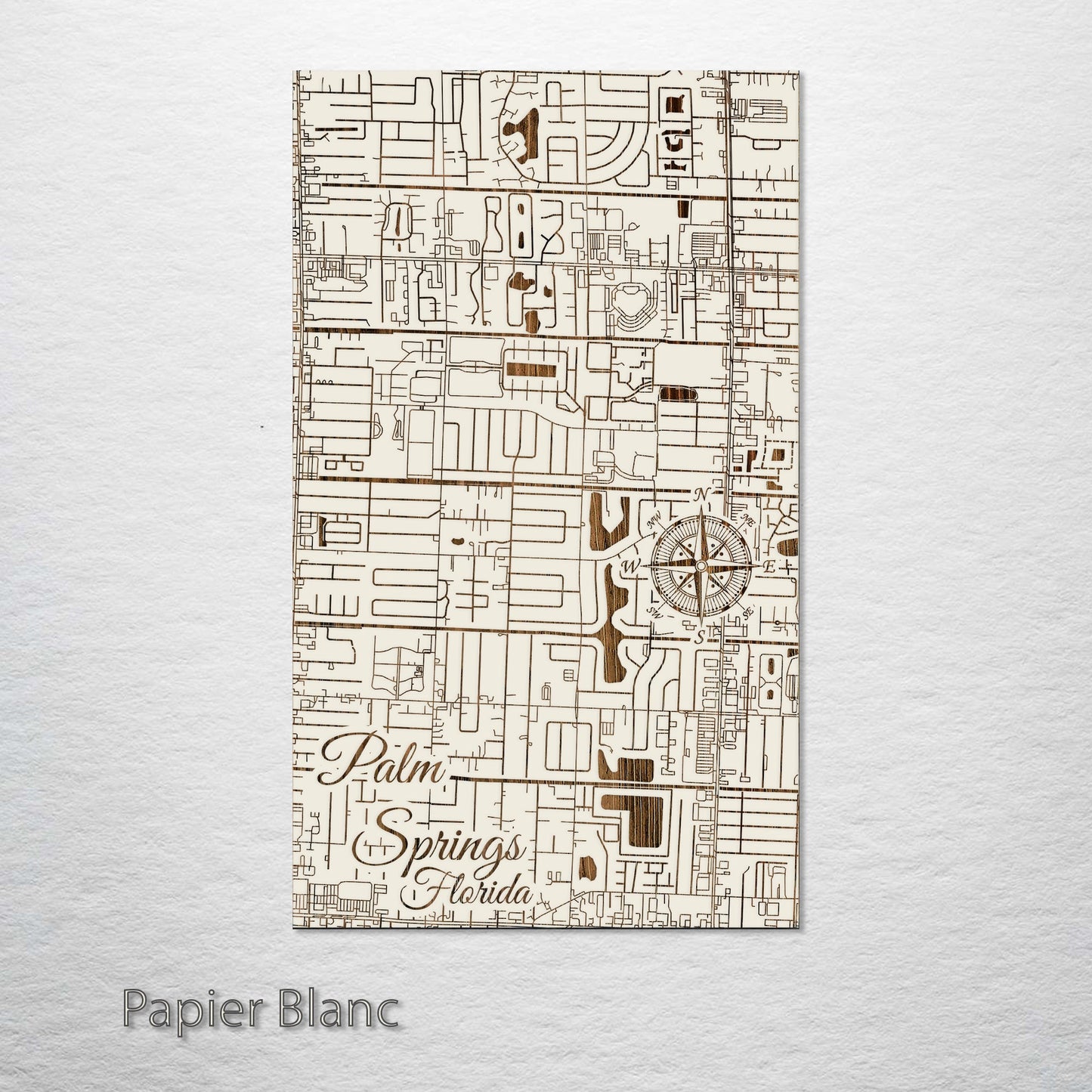 Palm Springs, Florida Street Map