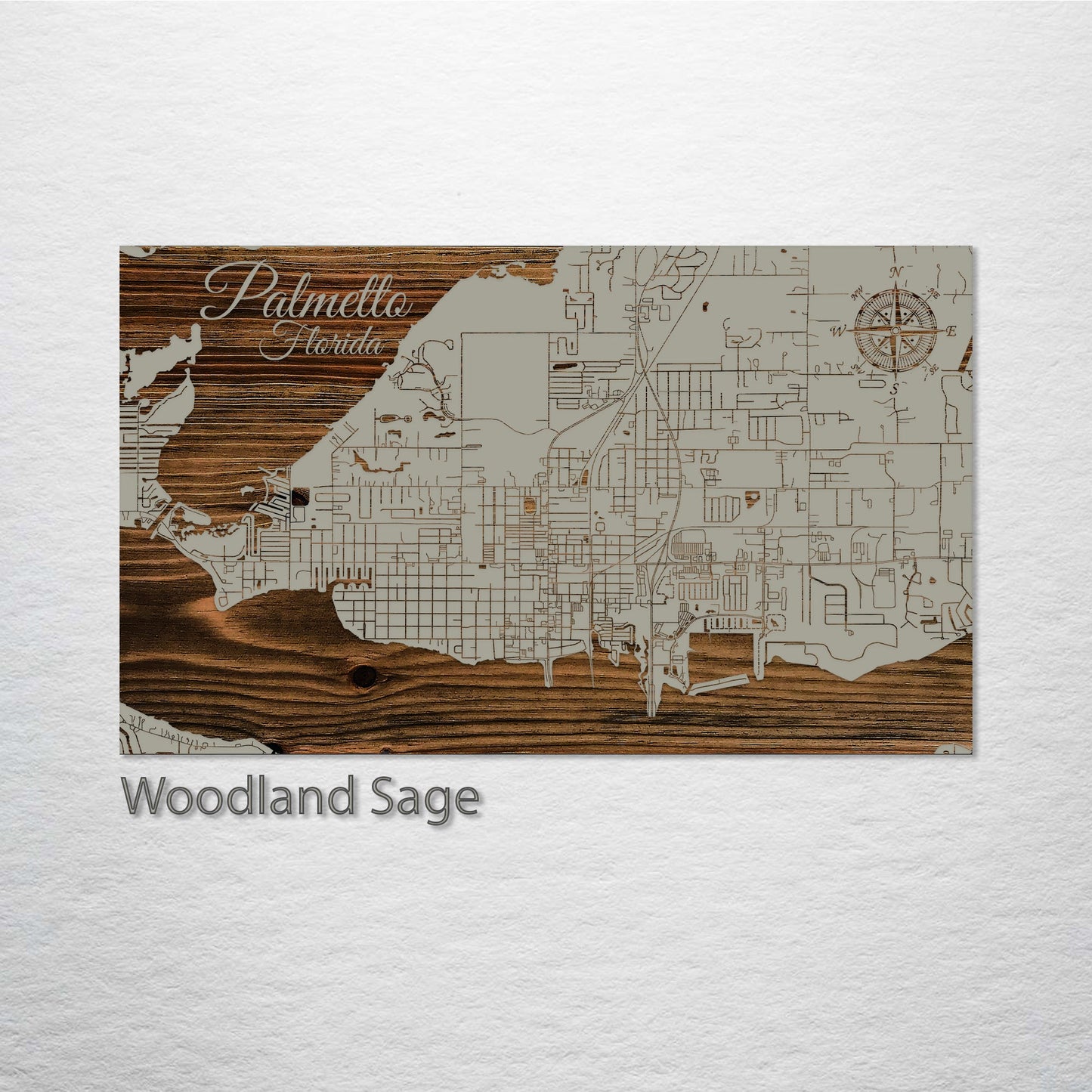 Palmetto, Florida Street Map