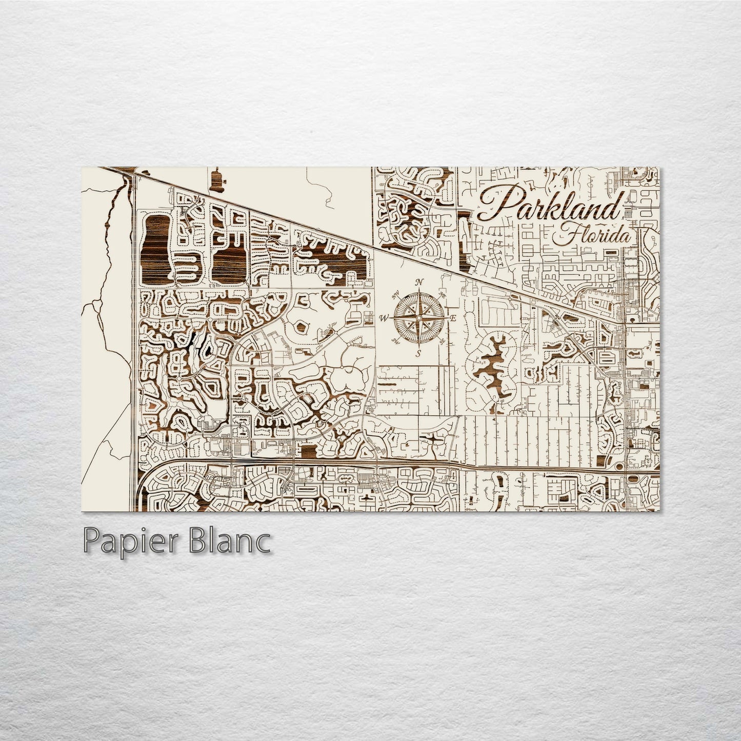 Parkland, Florida Street Map