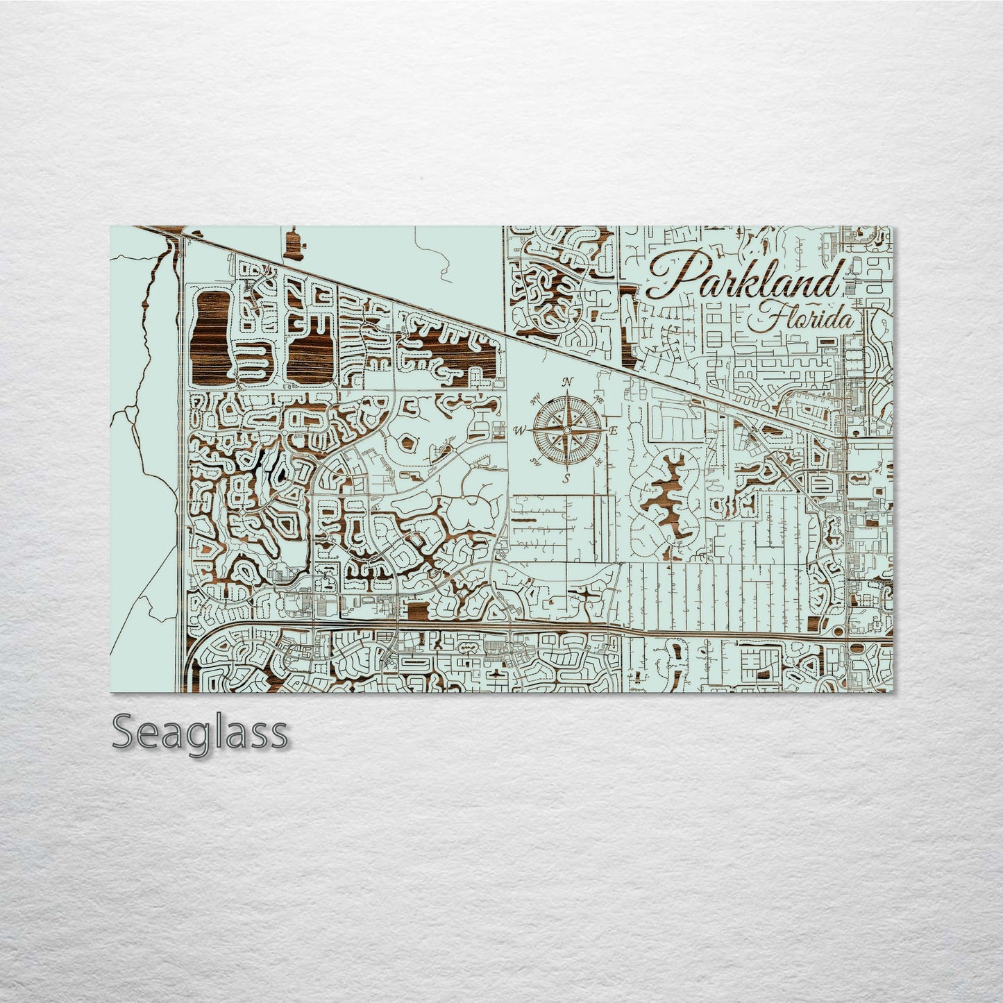 Parkland, Florida Street Map