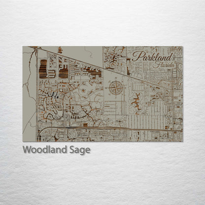 Parkland, Florida Street Map