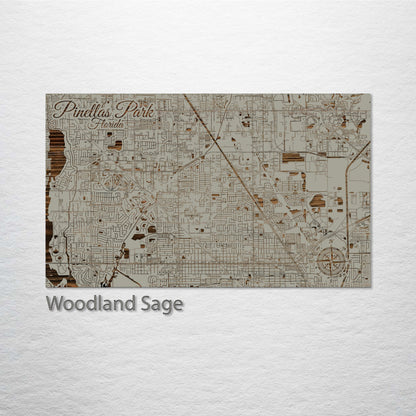 Pinellas Park, Florida Street Map