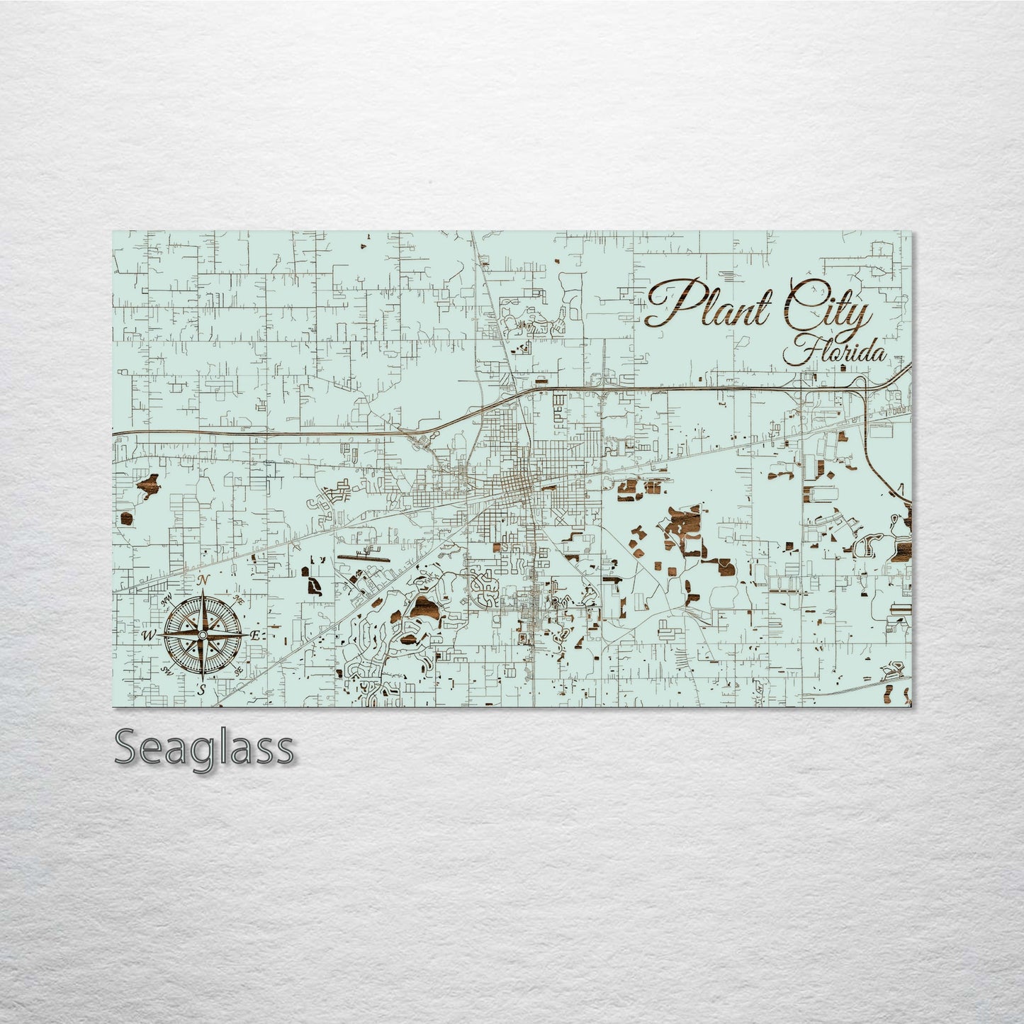 Plant City, Florida Street Map