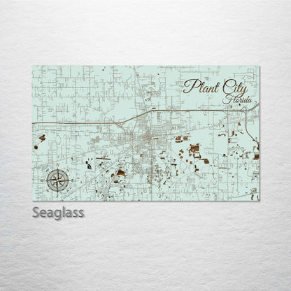 Plant City, Florida Street Map