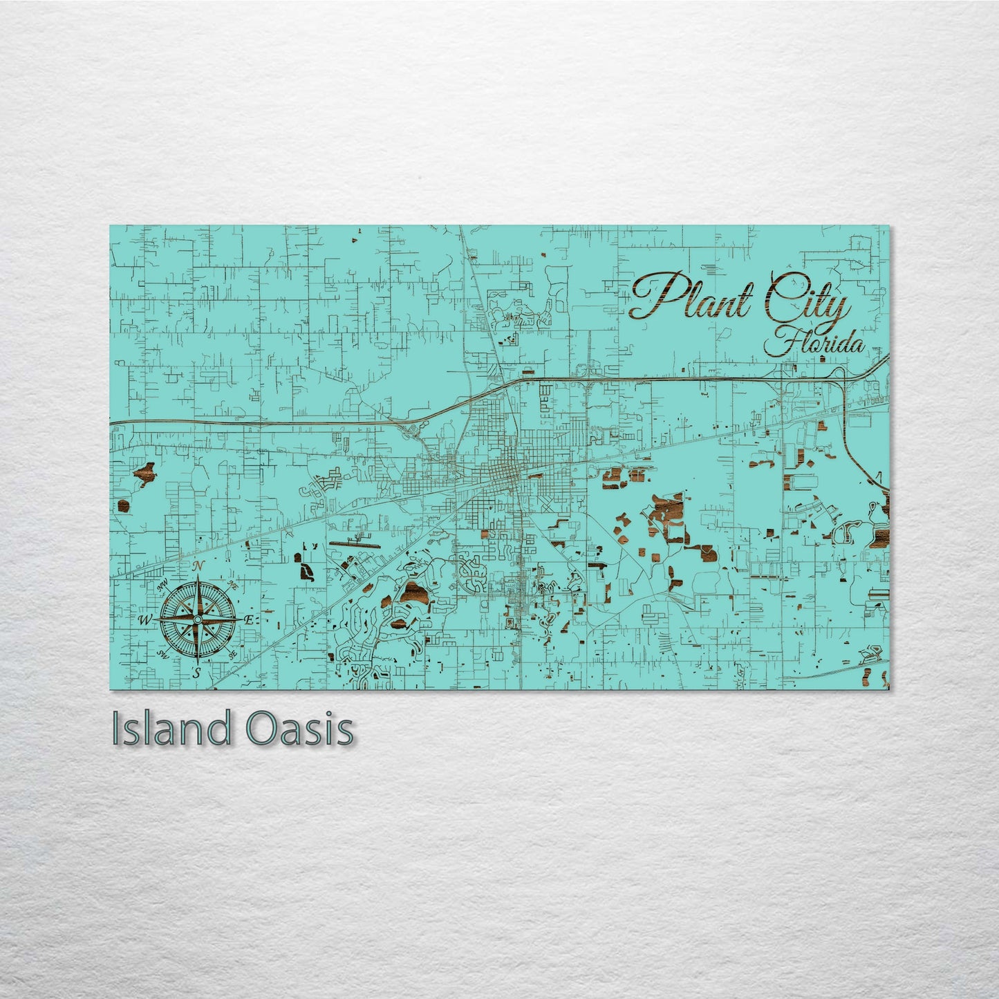 Plant City, Florida Street Map