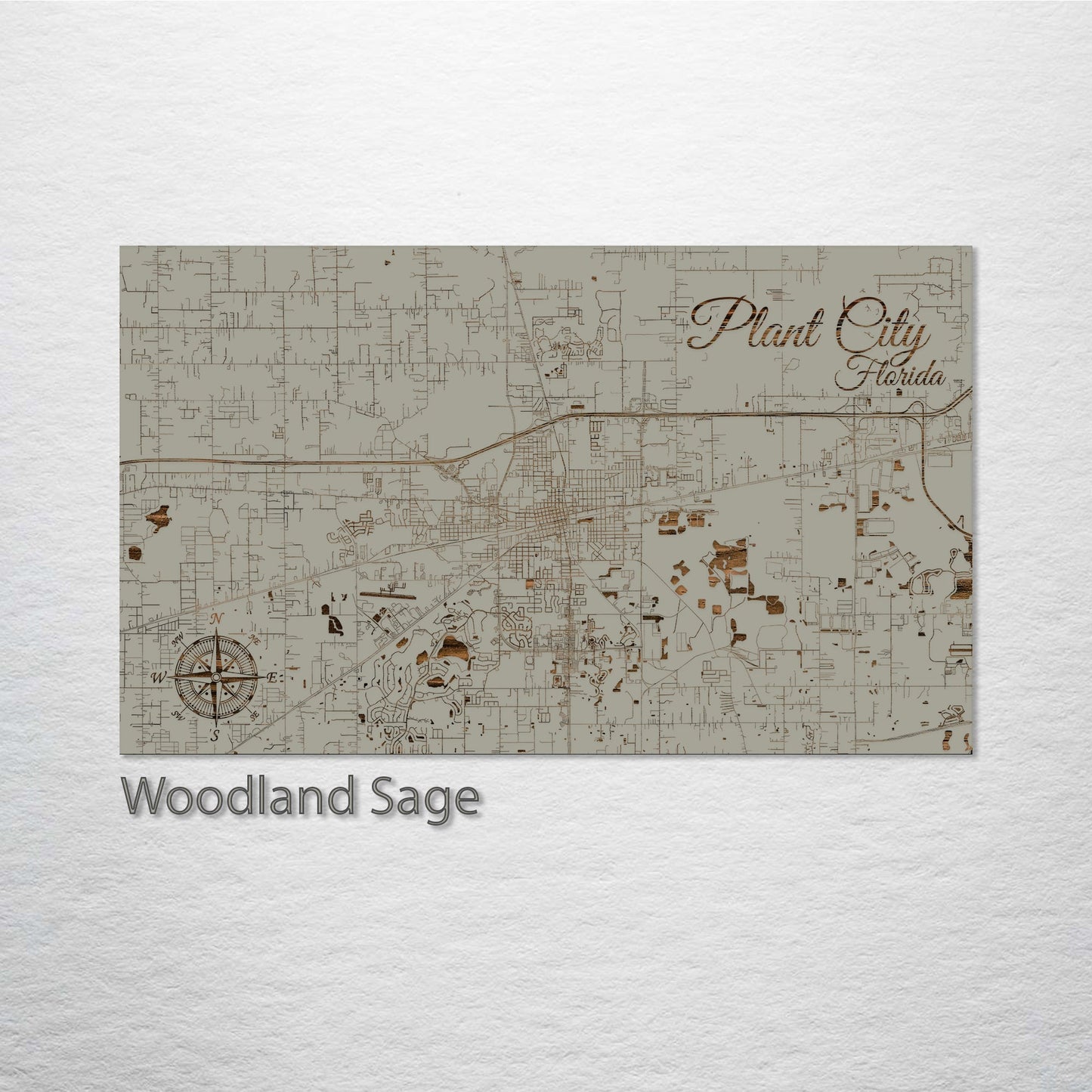 Plant City, Florida Street Map