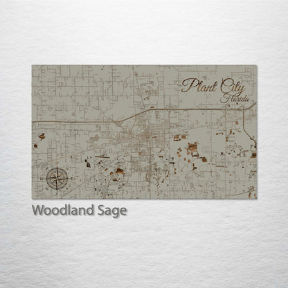 Plant City, Florida Street Map