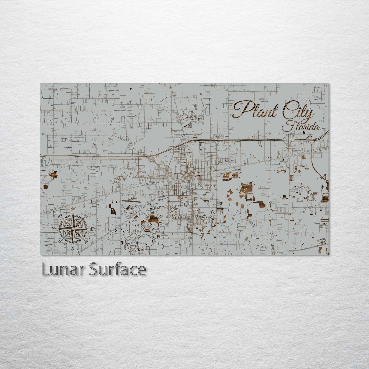 Plant City, Florida Street Map