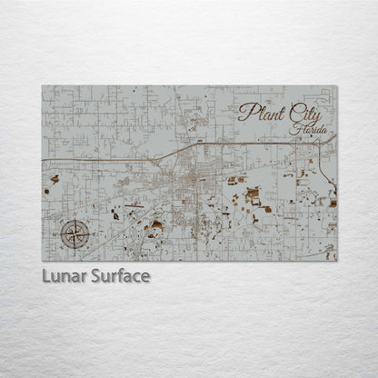 Plant City, Florida Street Map