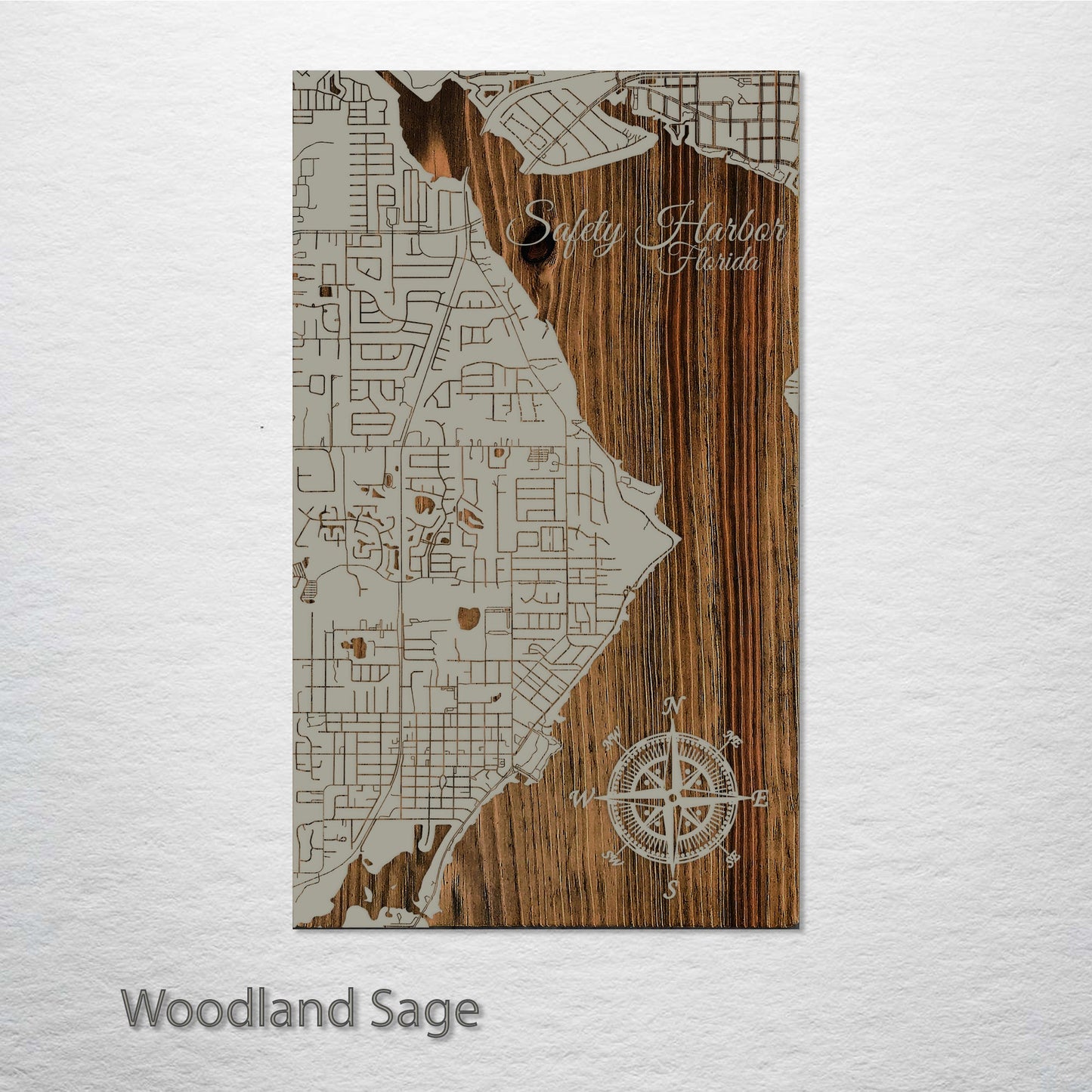 Safety Harbor, Florida Street Map