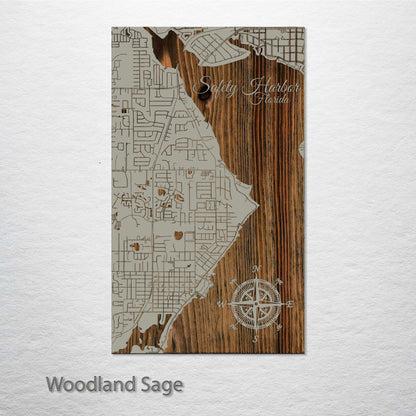 Safety Harbor, Florida Street Map