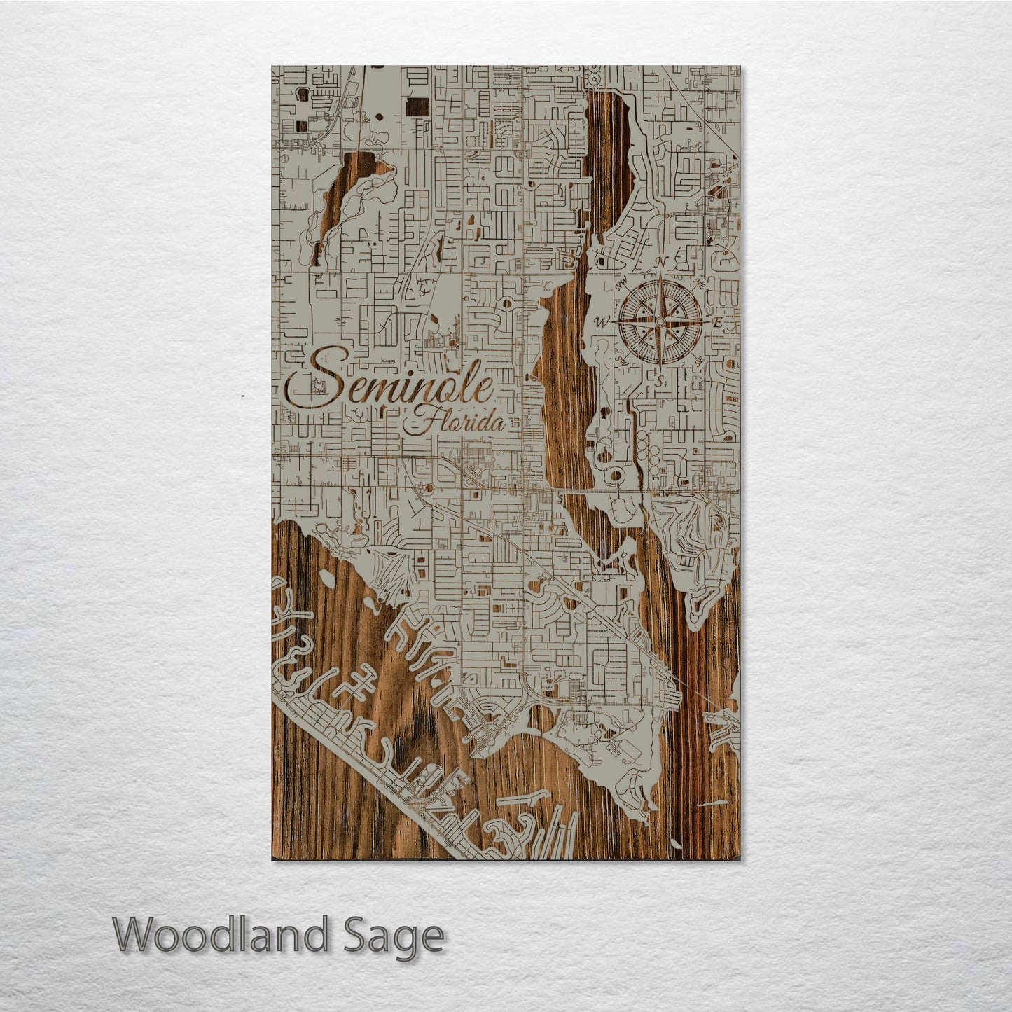 Seminole, Florida Street Map