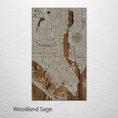 Seminole, Florida Street Map