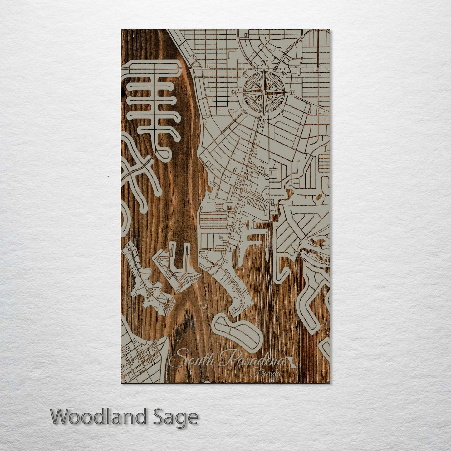 South Pasadena, Florida Street Map