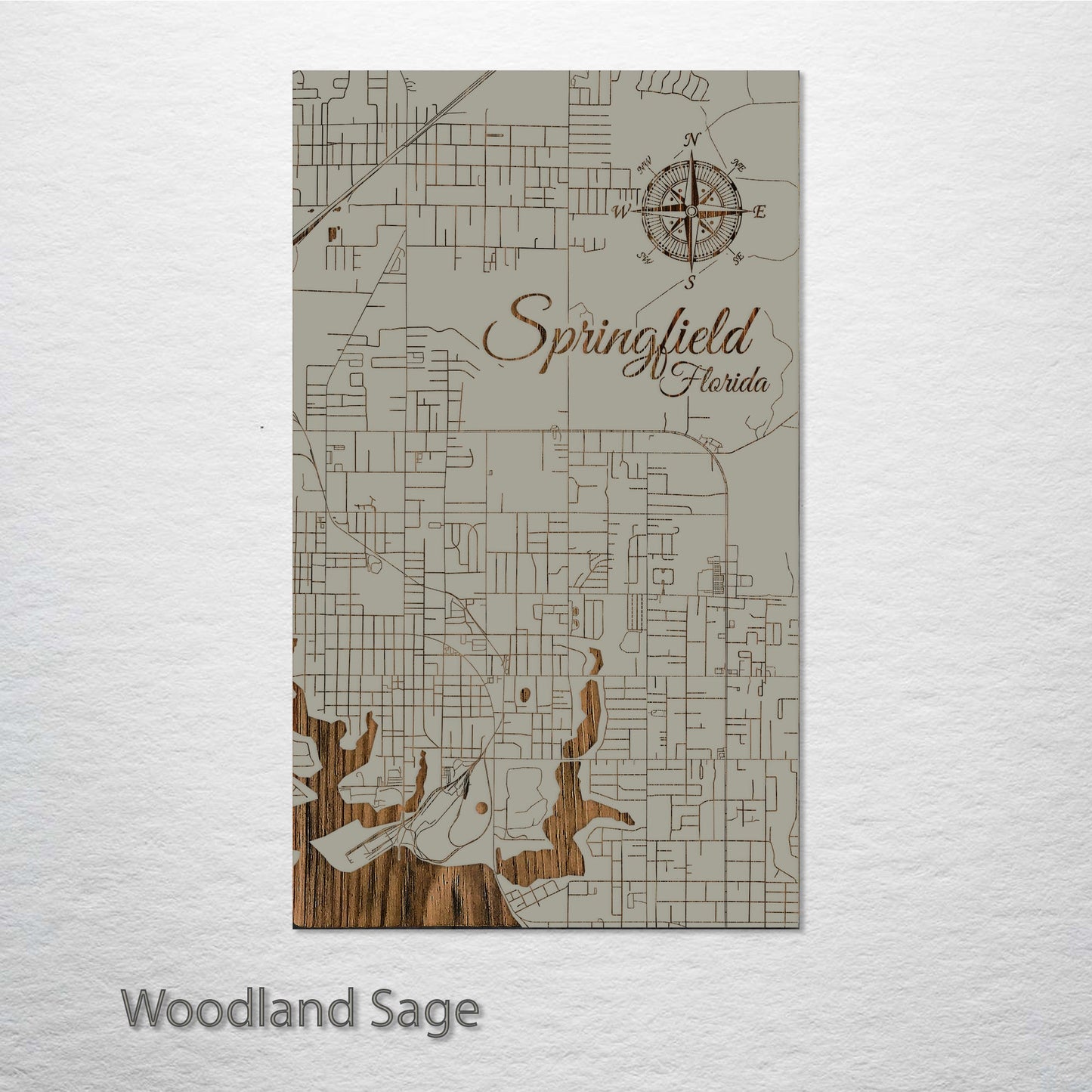 Springfield, Florida Street Map