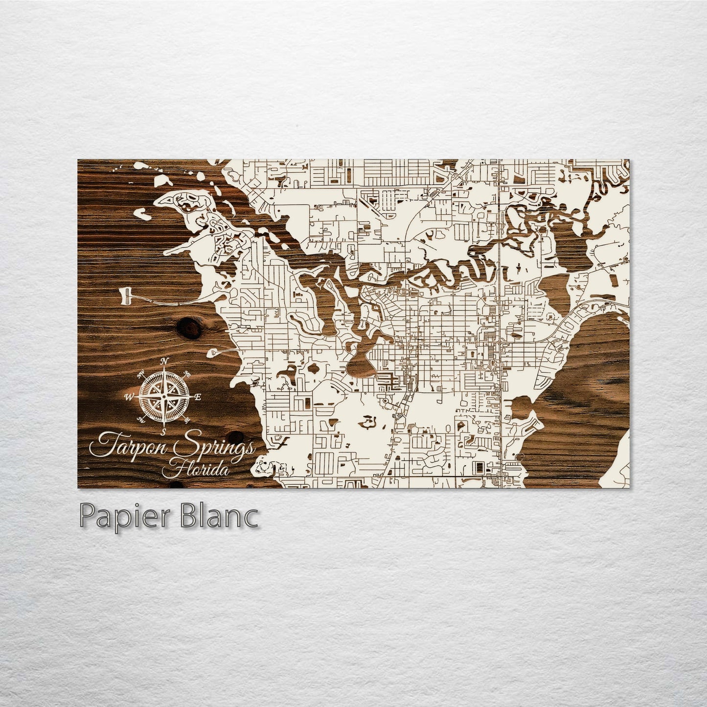 Tarpon Springs, Florida Street Map