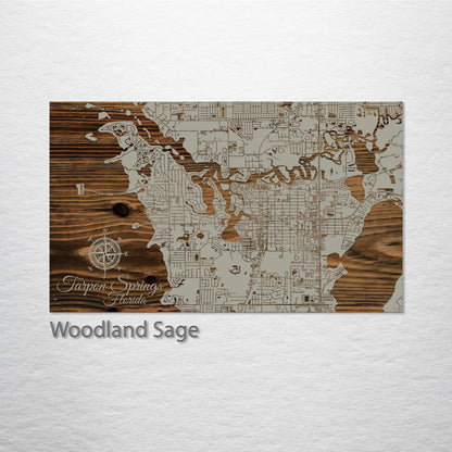 Tarpon Springs, Florida Street Map