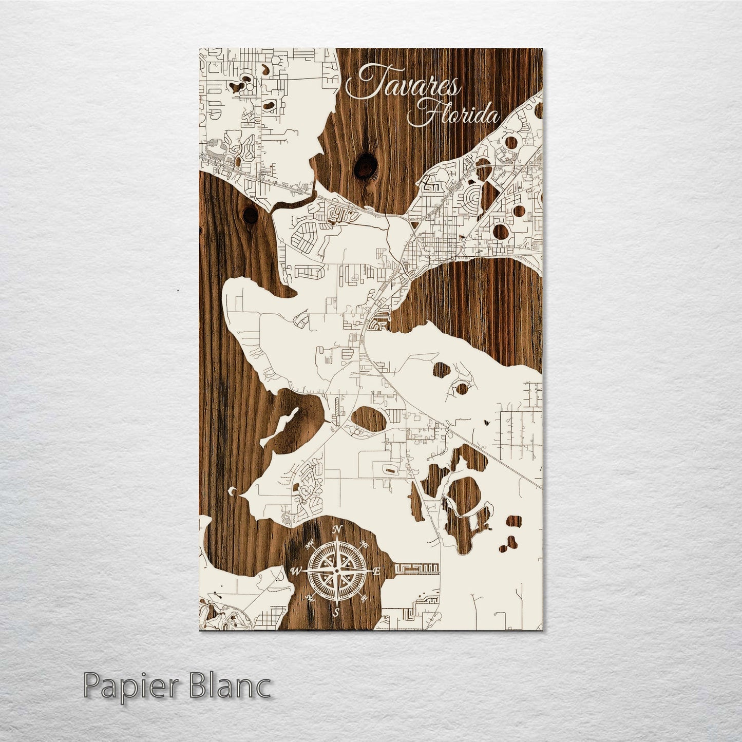 Tavares, Florida Street Map