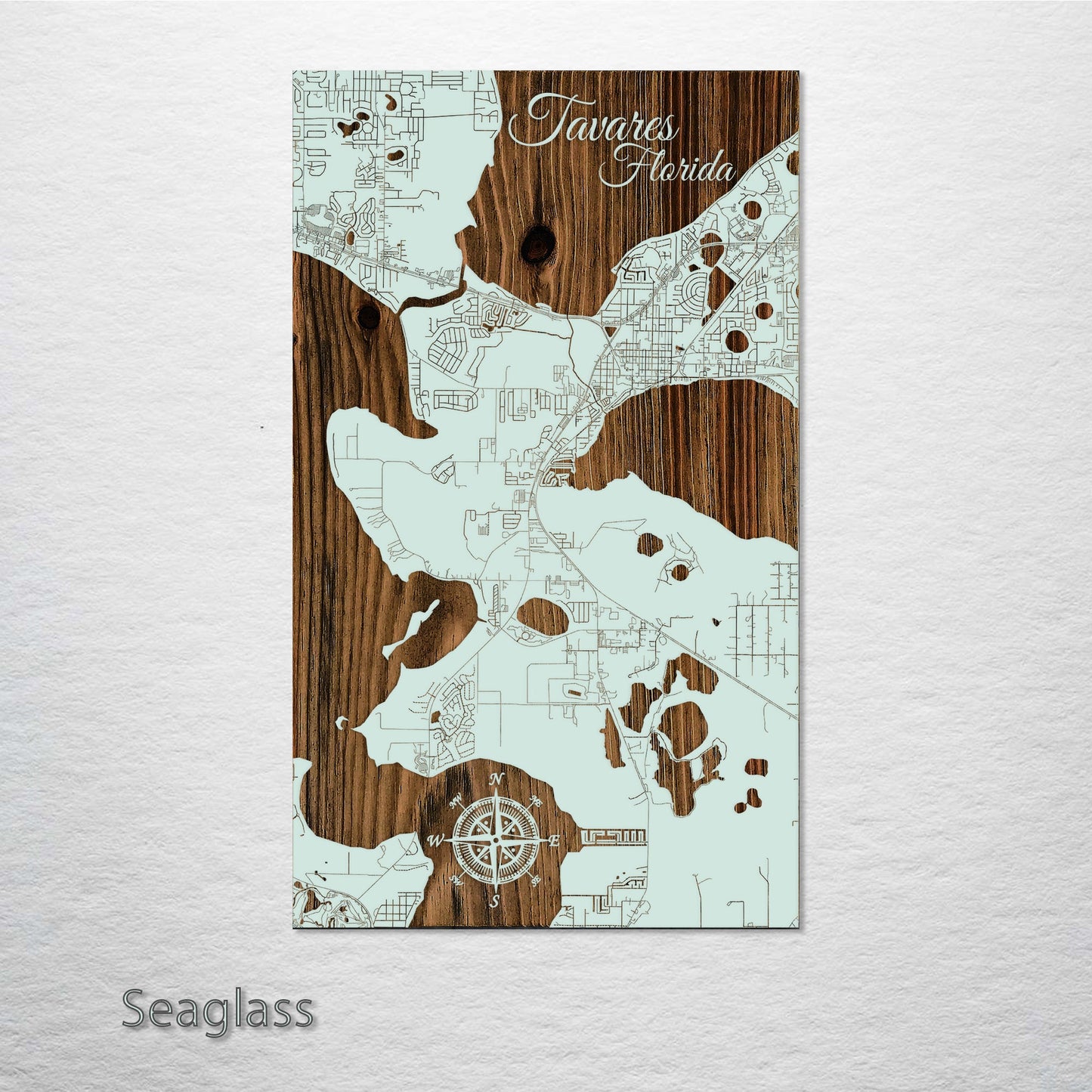 Tavares, Florida Street Map