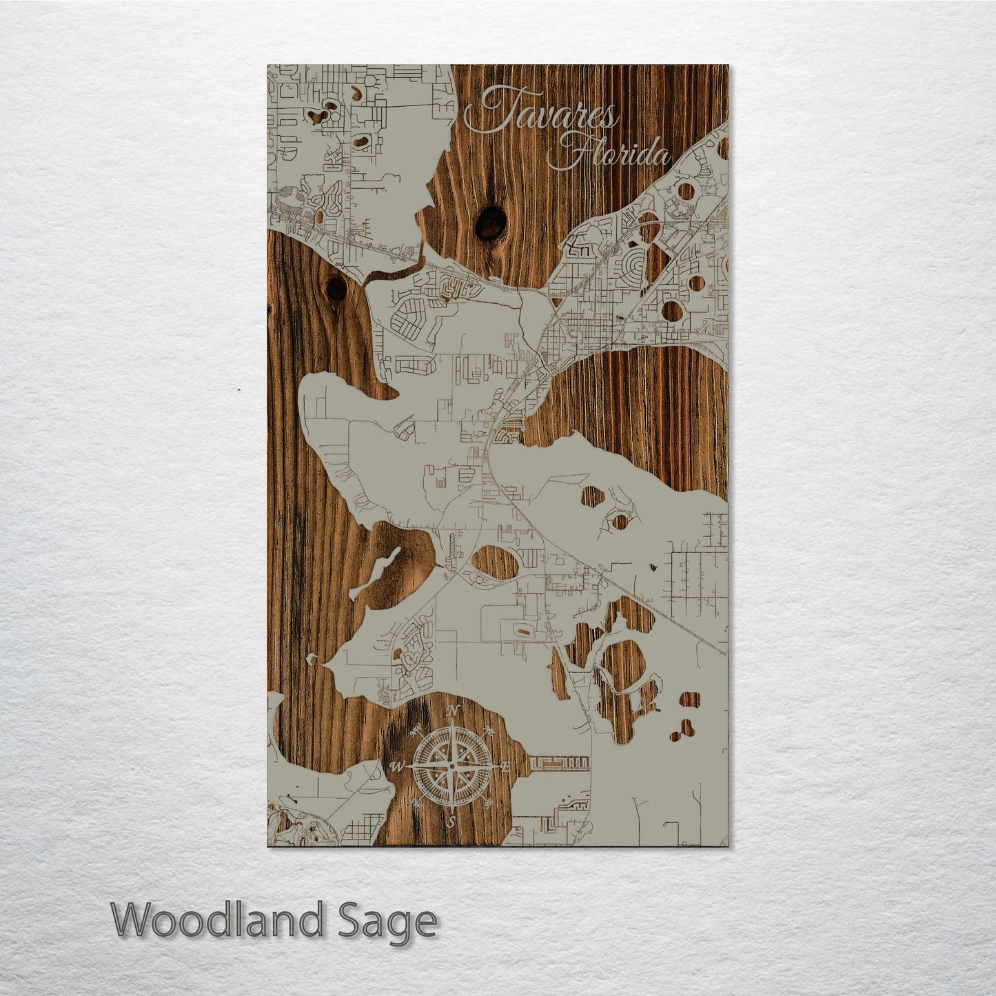 Tavares, Florida Street Map