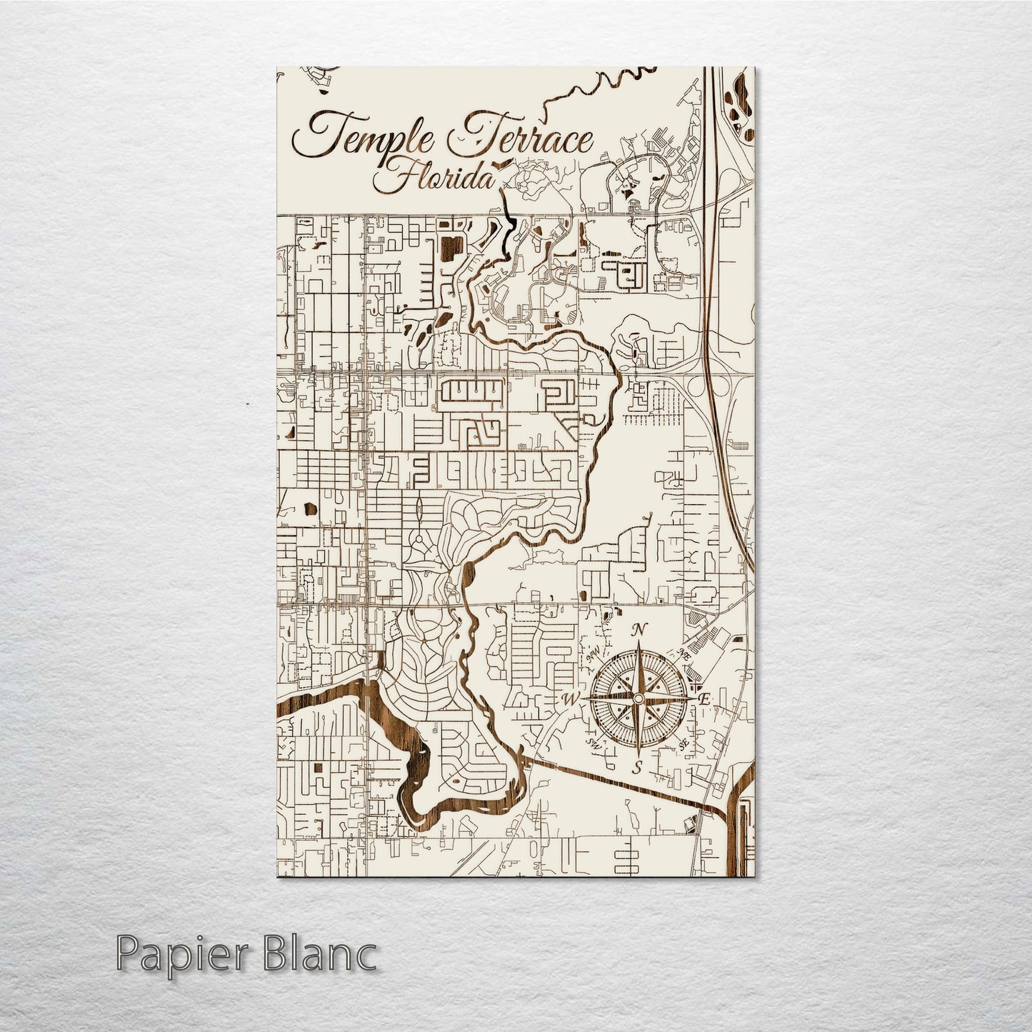 Temple Terrace, Florida Street Map