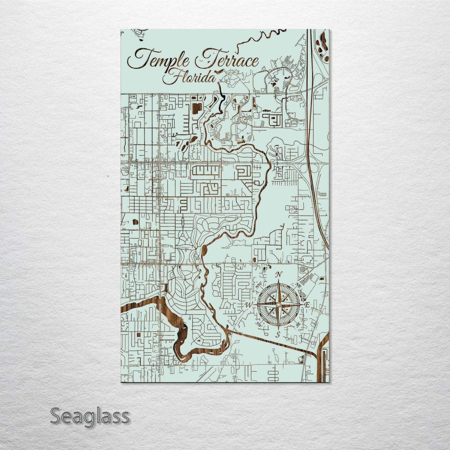 Temple Terrace, Florida Street Map