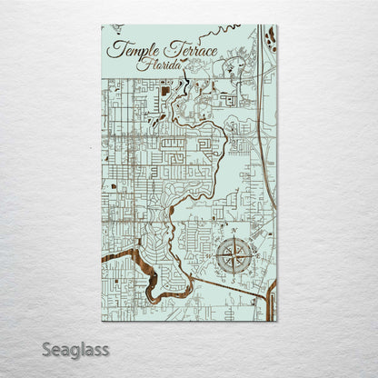 Temple Terrace, Florida Street Map