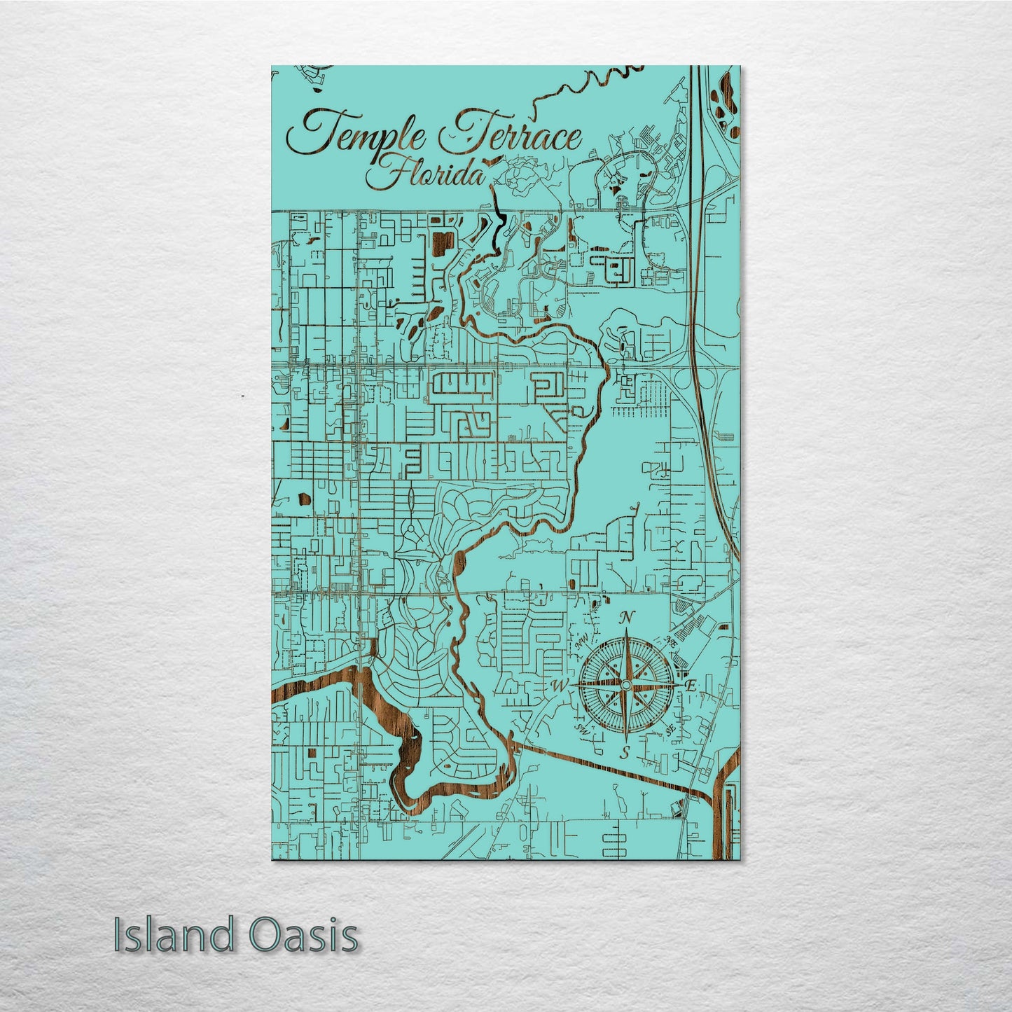 Temple Terrace, Florida Street Map