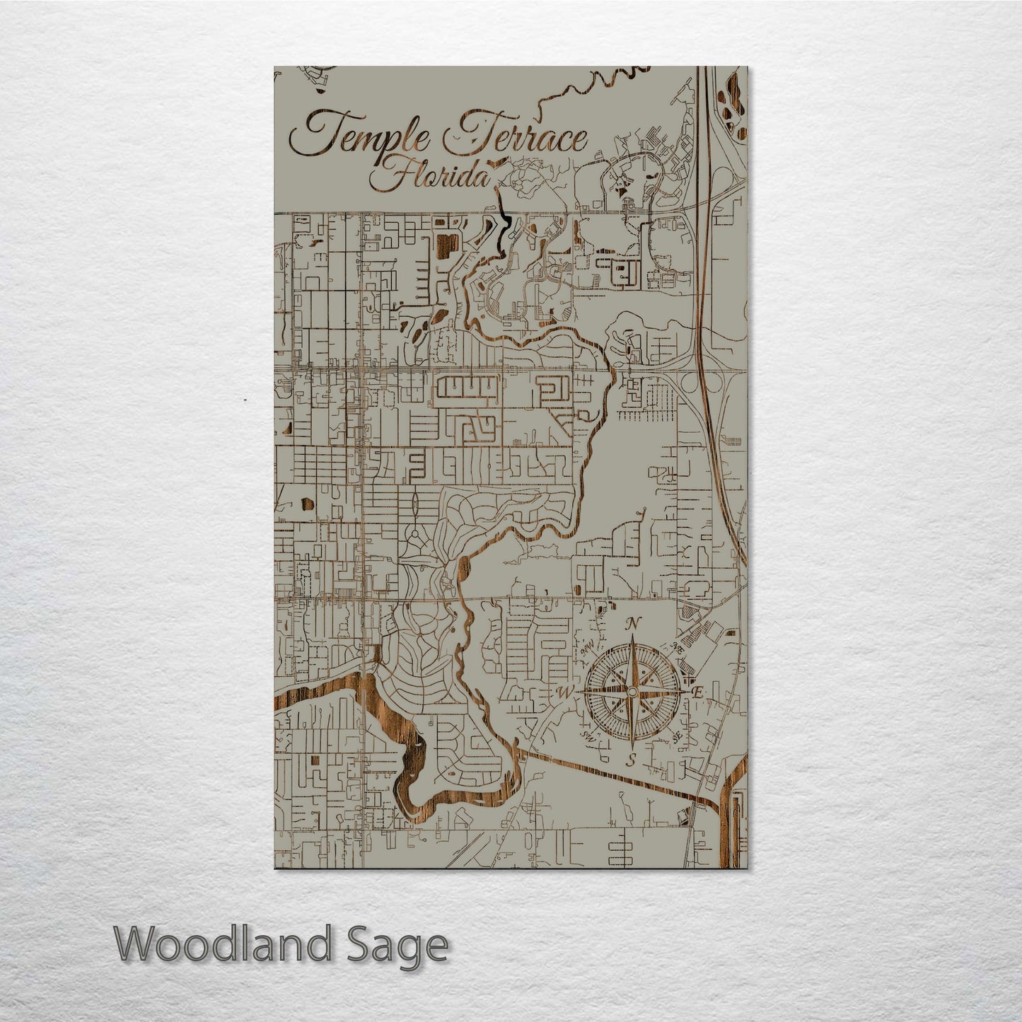 Temple Terrace, Florida Street Map
