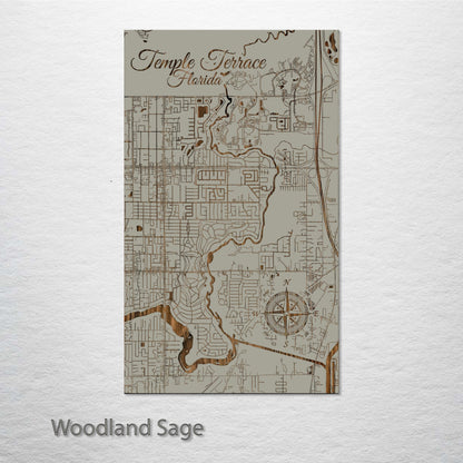 Temple Terrace, Florida Street Map