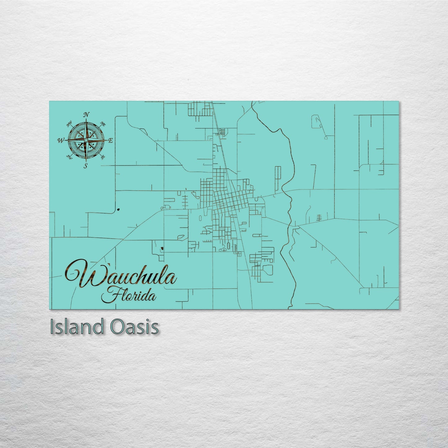 Wauchula, Florida Street Map