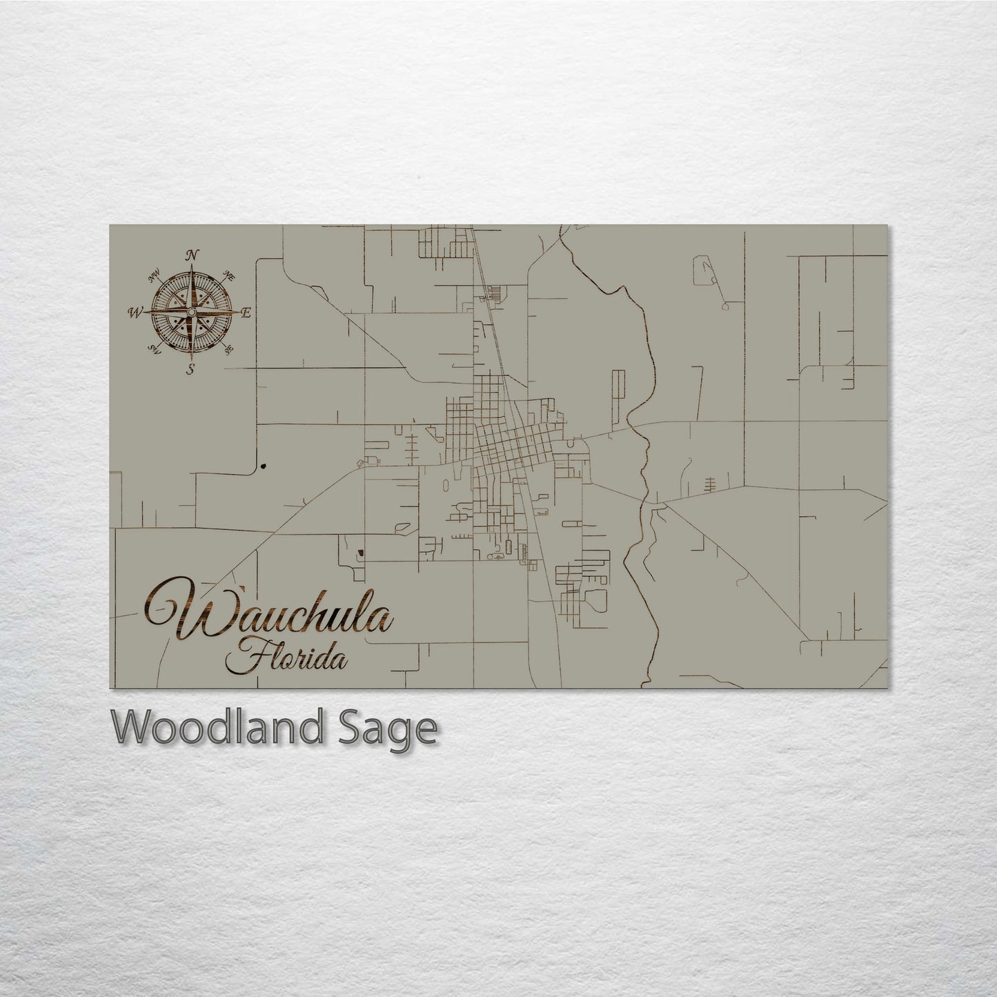 Wauchula, Florida Street Map