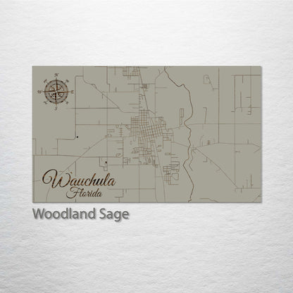 Wauchula, Florida Street Map