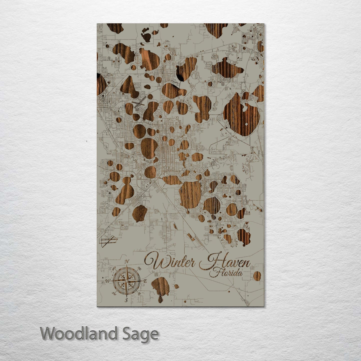 Winter Haven, Florida Street Map