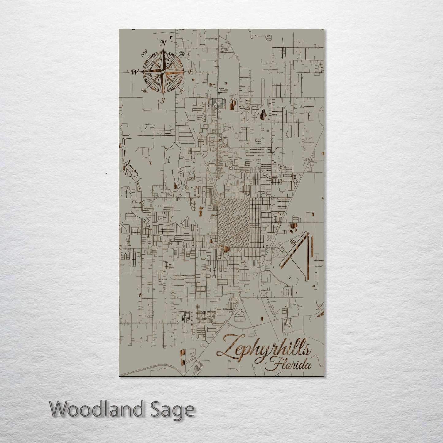 Zephyrhills, Florida Street Map