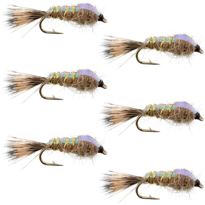 Classic Weighted Flashback Gold Ribbed Hares Ear Nymph - Set of 6 Flies - Size 18