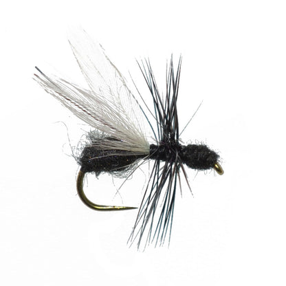 3 Pack Black Fur Flying Ant Terrestrial Trout Dry Fly - Hook Size 18