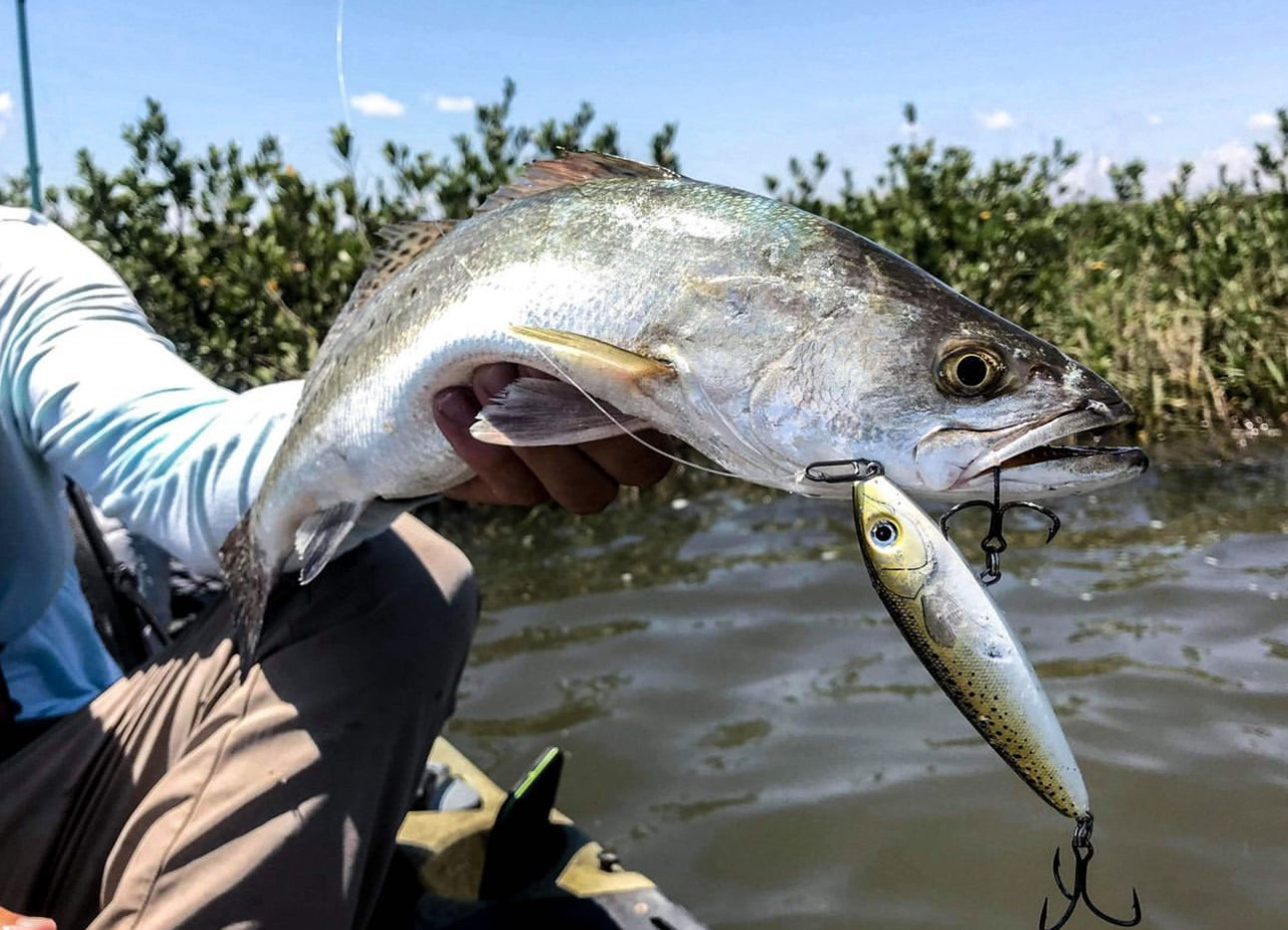 Small Speed Clips (45lbs)