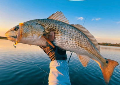 Small Speed Clips (45lbs)