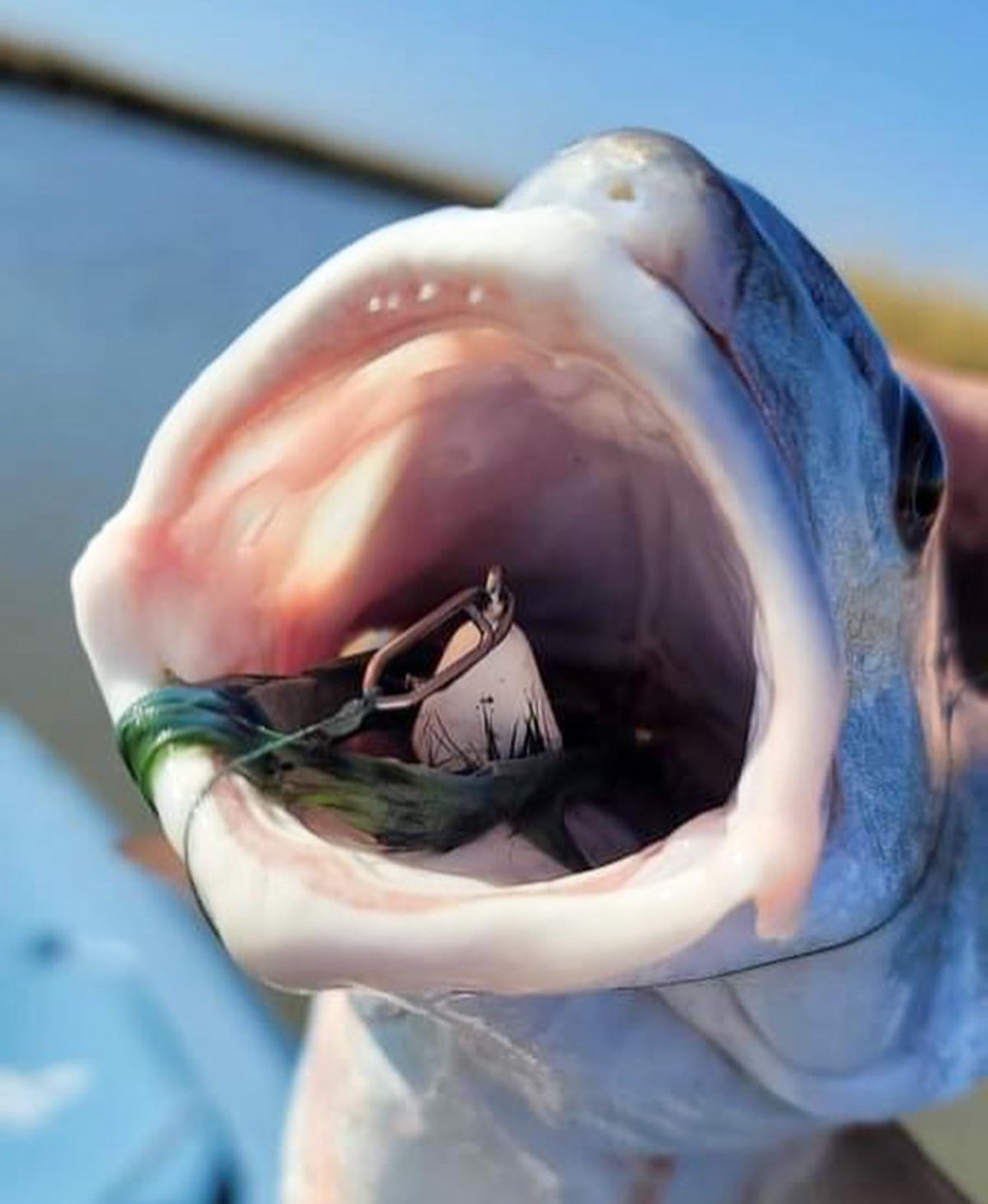 Small Speed Clips (45lbs)