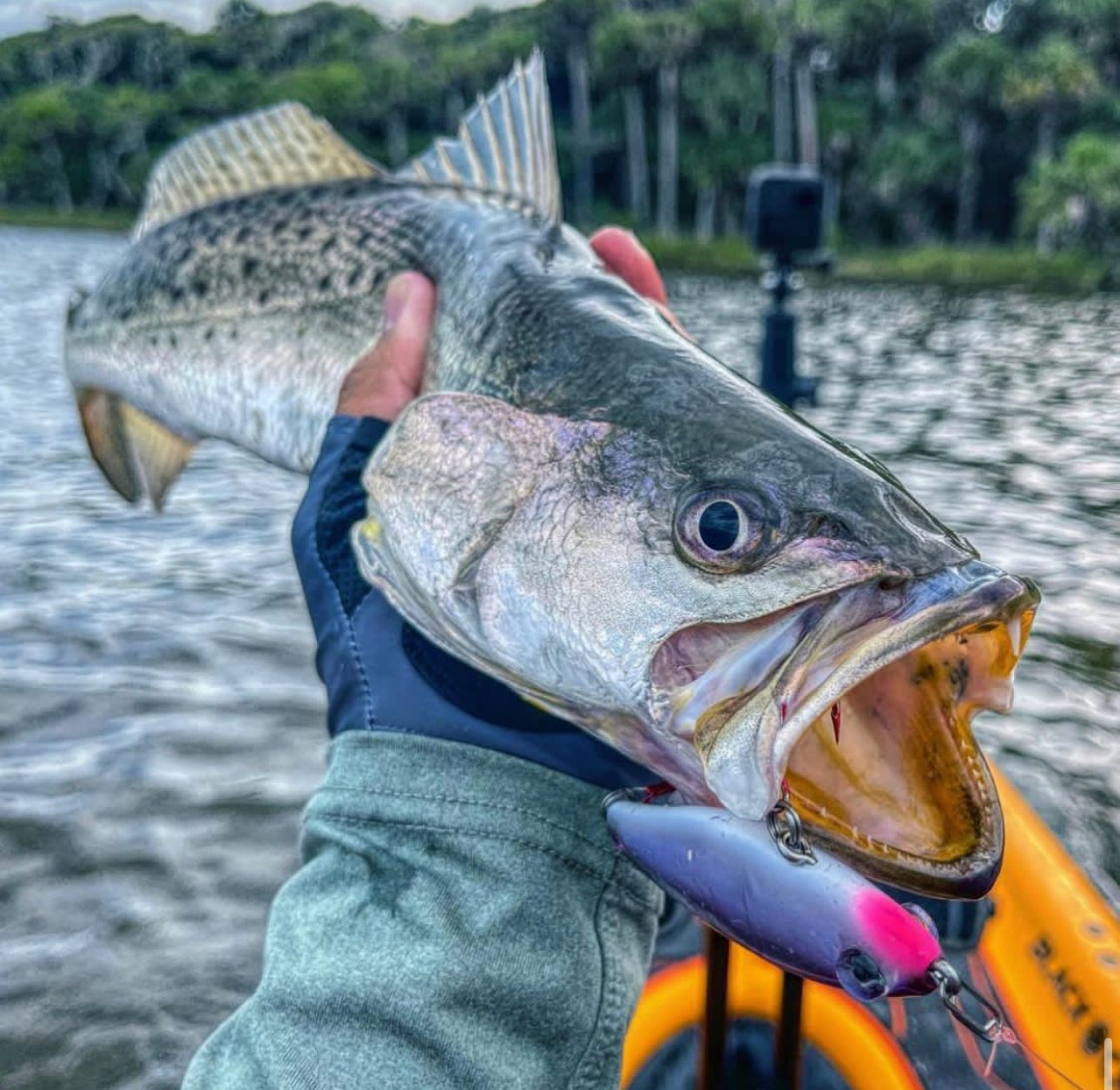 Small Speed Clips (45lbs)