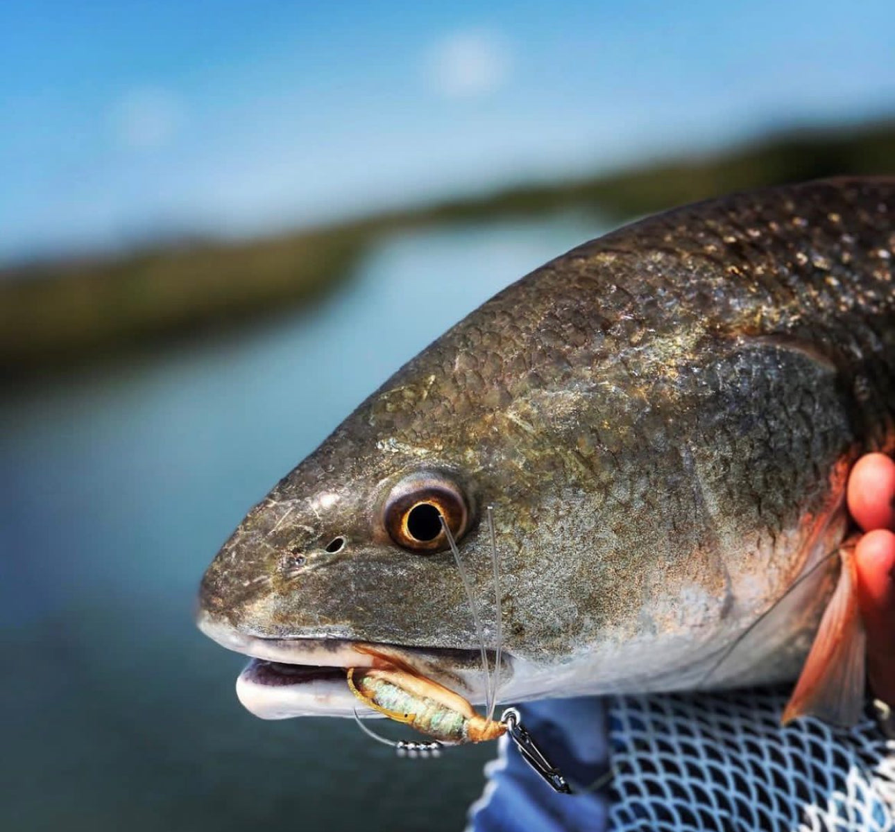 Topwater Co Speed Clips (15-45-70-120lbs)