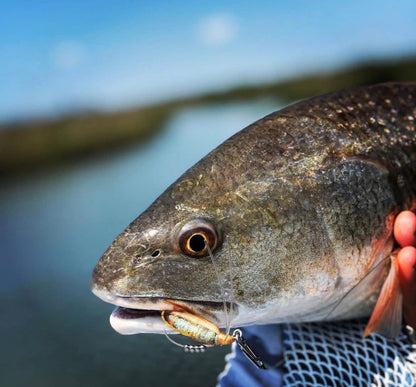 Small Speed Clips (45lbs)