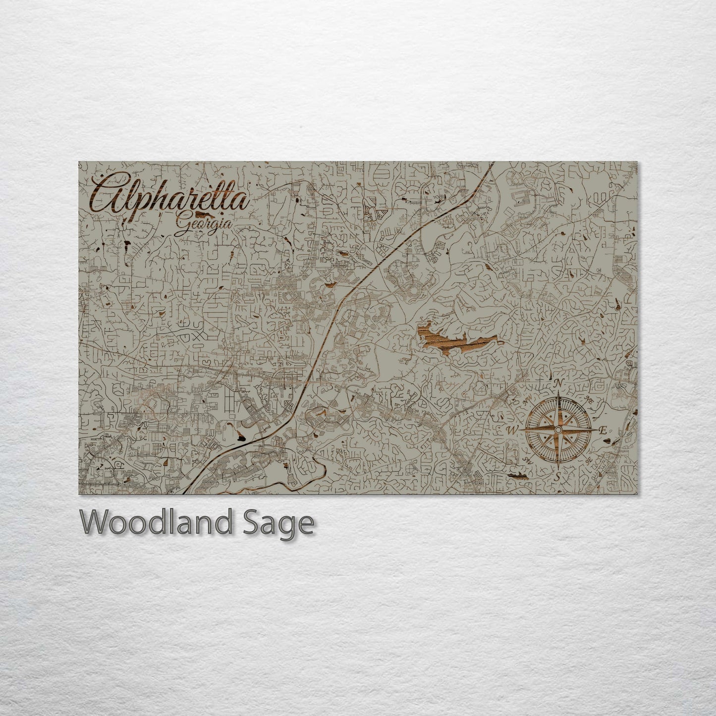 Alpharetta, Georgia Street Map