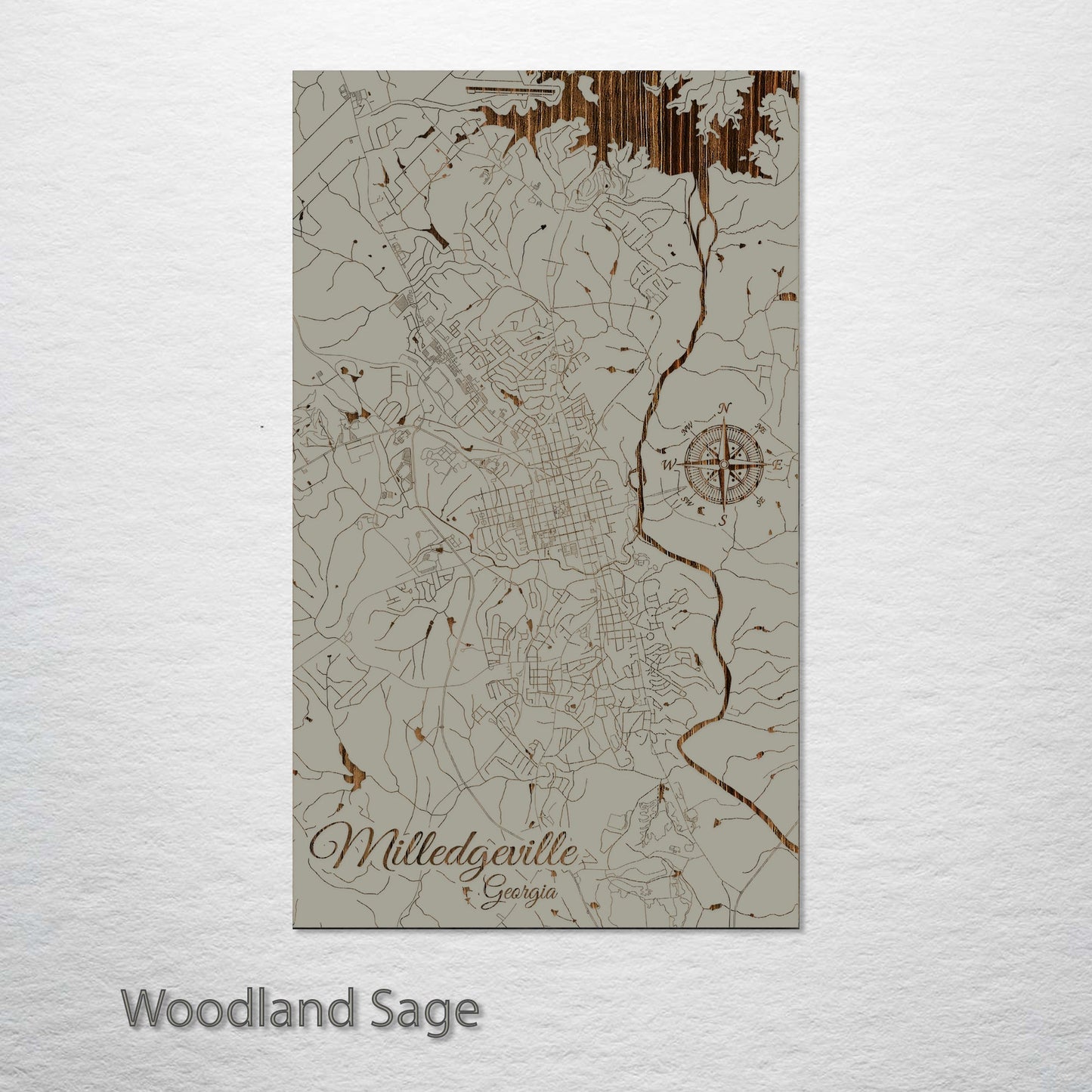 Milledgeville, Georgia Street Map