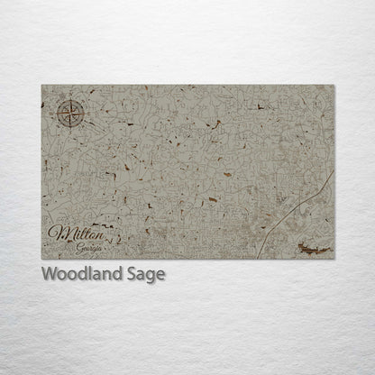 Milton, Georgia Street Map