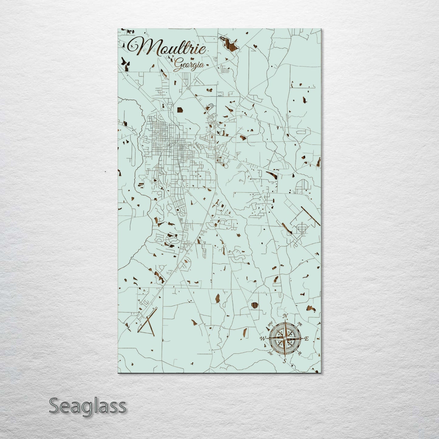 Moultrie, Georgia Street Map