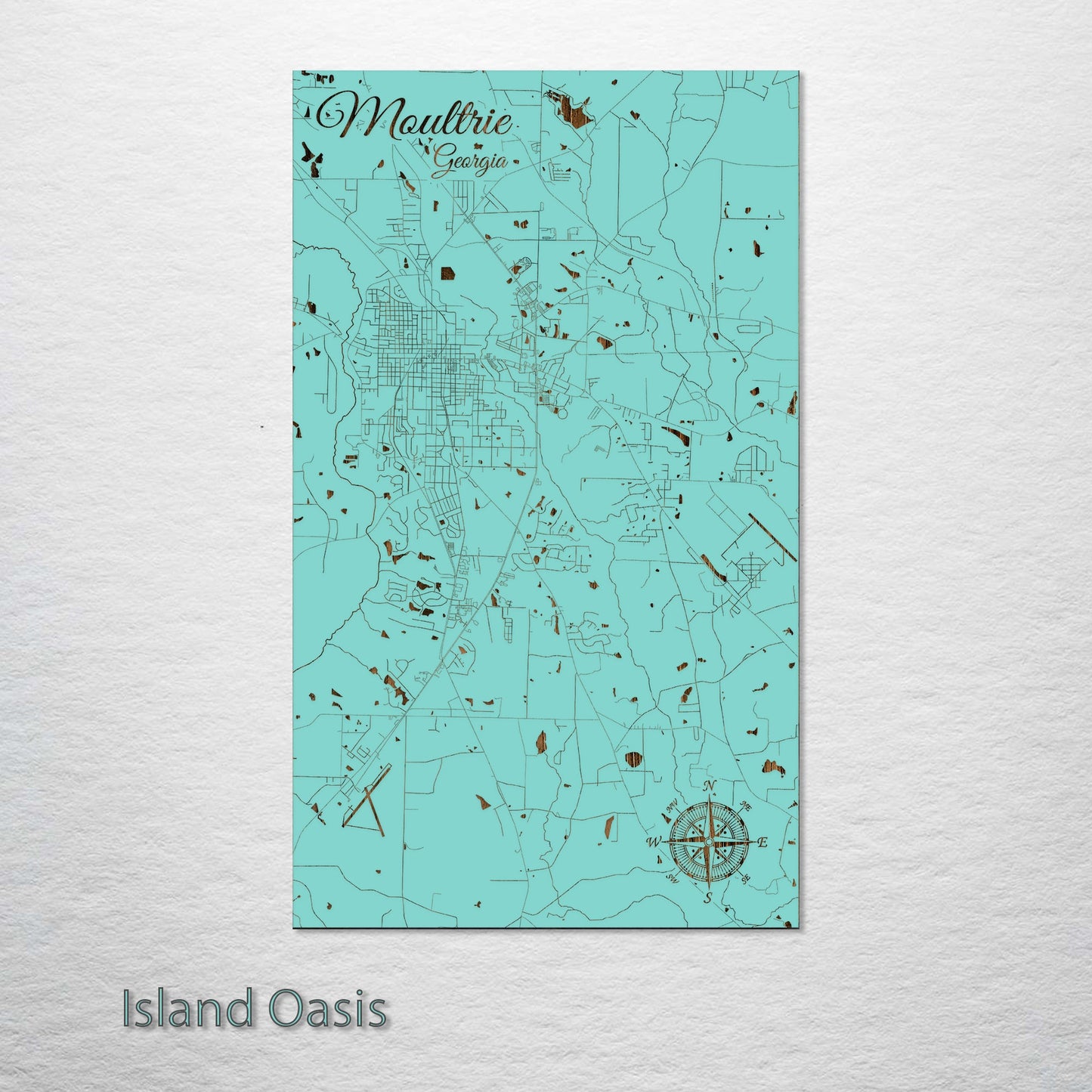 Moultrie, Georgia Street Map