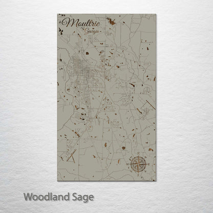 Moultrie, Georgia Street Map